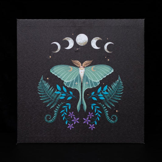 Luna Moth Light Up Canvas Plaque