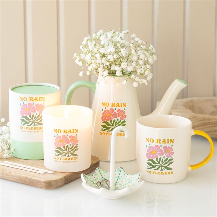 No Rain, No Flowers Ceramic Watering Can / Vase