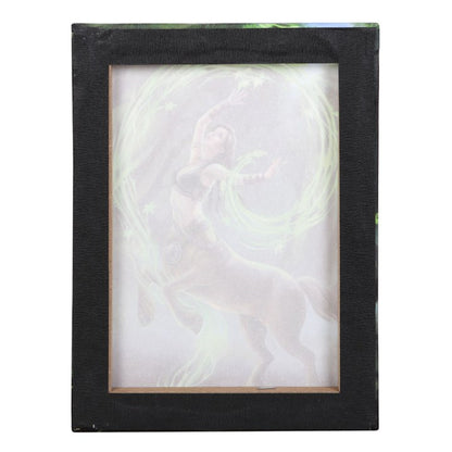 19x25cm Earth Element Sorceress Canvas Plaque by Anne Stokes